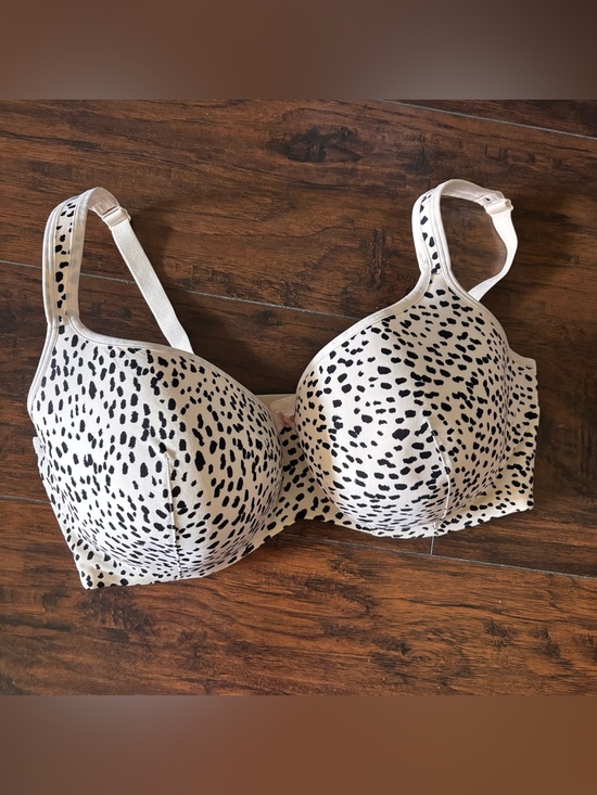 Cacique Other - Cacique Beige and Black Spotted T-Shirt Bra - Women Intimates
